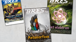 Stuff_for_website_SmartFoxCreatives_202013